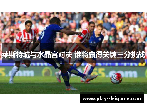 莱斯特城与水晶宫对决 谁将赢得关键三分挑战