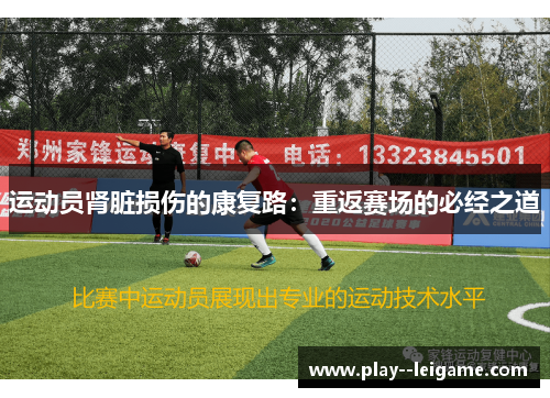 运动员肾脏损伤的康复路：重返赛场的必经之道