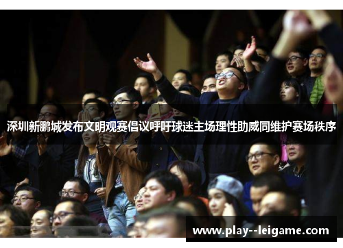 深圳新鹏城发布文明观赛倡议呼吁球迷主场理性助威同维护赛场秩序 深圳新鹏城发布文明观赛倡议呼吁球迷主场理性助威同维护赛场秩序