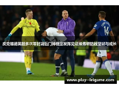 皮克福德英超多次零封背后门神稳定发挥见证埃弗顿防线坚韧与成长